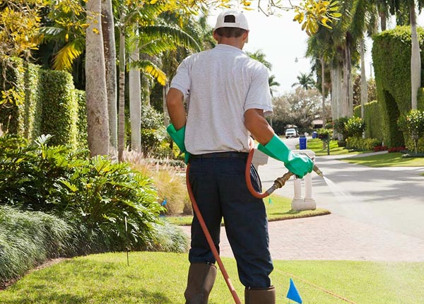 About Smithfield PA Pest Control Pros